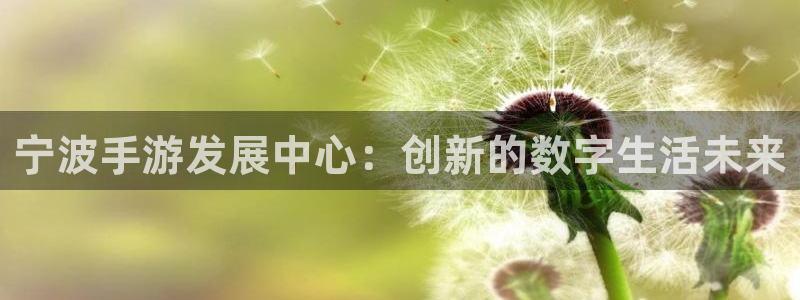 长运娱乐官网预测安卓下载：宁波手游发展中心：创新的数字生活未