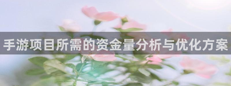 长运娱乐官网官方版ios：手游项目所需的资金量分析与优化方案