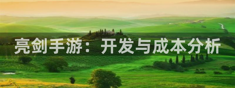 长运娱乐官网怎么找不到了：亮剑手游：开发与成本分析