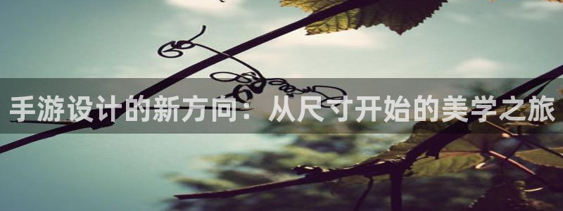 长运娱乐官网吧：手游设计的新方向：从尺寸开始的美学之旅