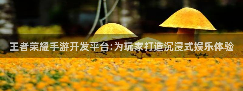 长运娱乐官网专业版app下载页面：王者荣耀手游开发平台:为玩