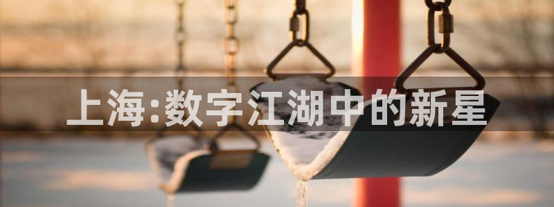 长运娱乐官网预测神测网：上海:数字江湖中的新星