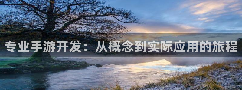 长运娱乐官网PC官网：专业手游开发：从概念到实际应用的旅程