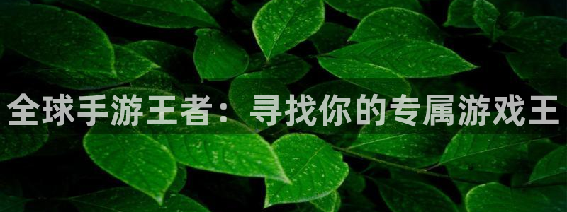 长运娱乐官网app：全球手游王者：寻找你的专属游戏王