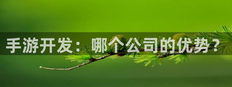 长运娱乐官网预测官网：手游开发：哪个公司的优势？