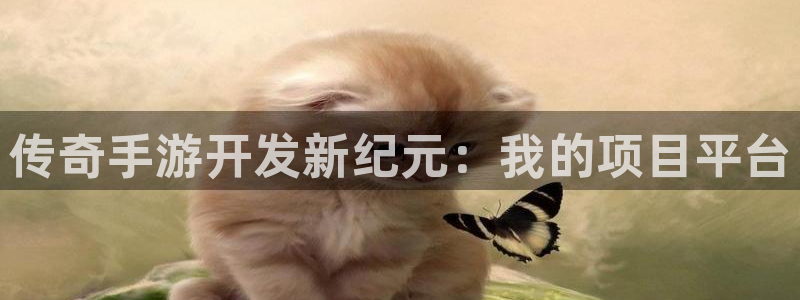 长运娱乐官网历史：传奇手游开发新纪元：我的项目平台