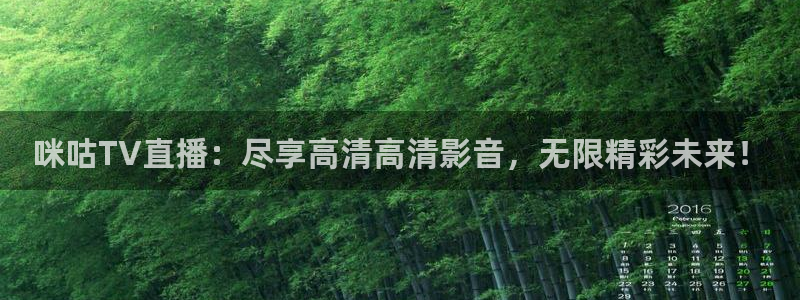 88看球nba直播吧