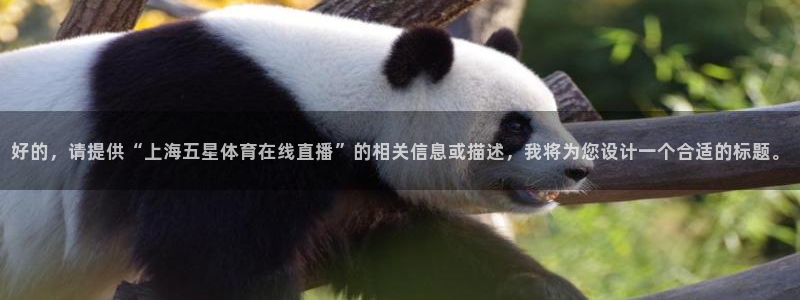 88看球在线直播观看：好的，请提供“上海五星体育在线直播”的相关信息或描述，我将为您设计一个合适的标题。