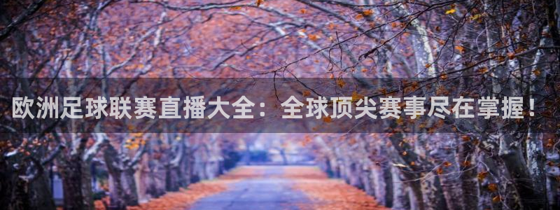 88看球直播网：欧洲足球联赛直播大全：全球顶尖赛事尽在掌握！