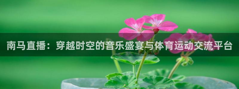 88看球nba免费直播：南马直播：穿越时空的音乐盛宴与体育运动交流平台