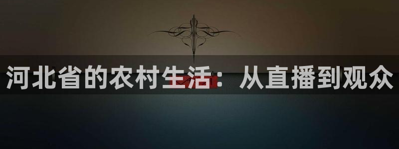 88看球直播高清：河北省的农村生活：从直播到观众