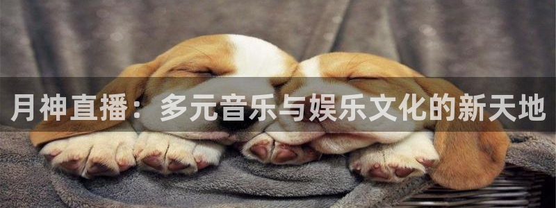 88看球直播高清：月神直播：多元音乐与娱乐文化的新天地