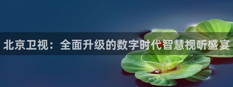 88看球网免费nba直播吧：北京卫视：全面升级的数字时代智慧视听盛宴
