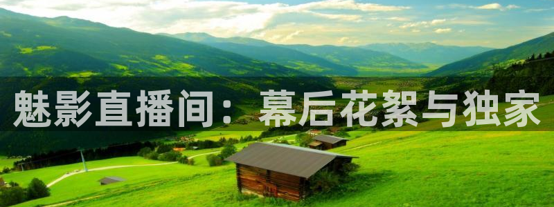 88看球nba直播高清：魅影直播间：幕后花絮与独家