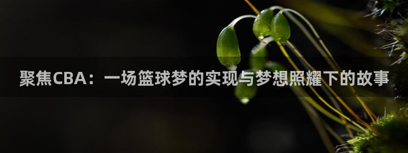 88看球直播网：聚焦CBA：一场篮球梦的实现与梦想照耀下的故事