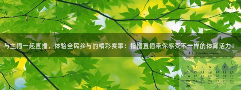 88看球nba足球直播：与主播一起直播，体验全民参与的精彩赛事：撸撸直播带你感受不一样的体育活力！