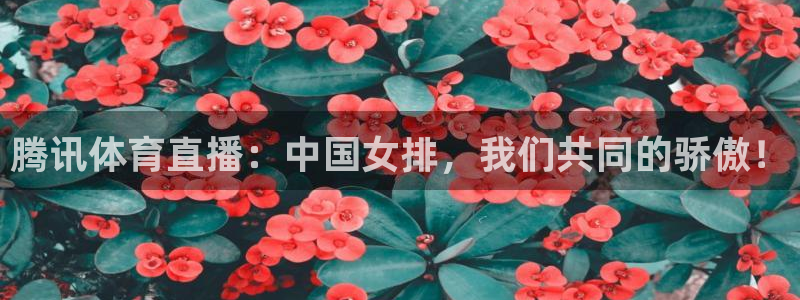 88看球直播：腾讯体育直播：中国女排，我们共同的骄傲！