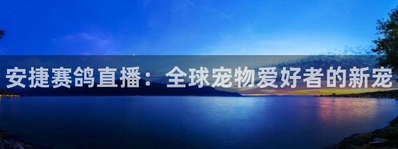 88看球直播 在线观看：安捷赛鸽直播：全球宠物爱好者的新宠