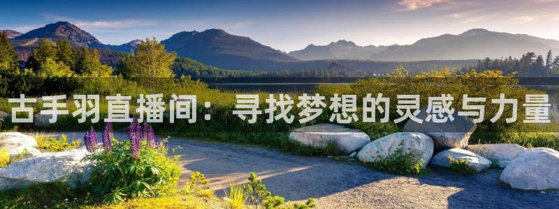 88看球免费直播回放：古手羽直播间：寻找梦想的灵感与力量