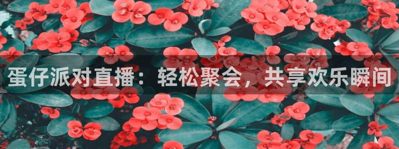nba88看球直播免费直播：蛋仔派对直播：轻松聚会，共享欢乐瞬间